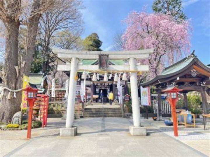 川越観光はつまらない？その理由と「知る人ぞ知る」楽しみ方を徹底解説